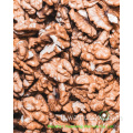 Kernel di noci cinesi dolci e croccanti leggeri ambra